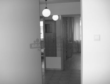 Zdjęcie 8086746