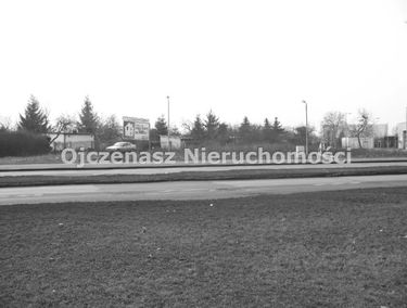 Zdjęcie 13253957