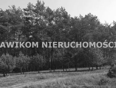 Zdjęcie 8339298