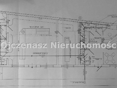 Zdjęcie 8763504
