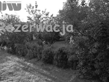 Zdjęcie 8790332