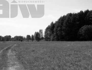 Zdjęcie 9062432