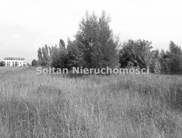 Zdjęcie 9147551
