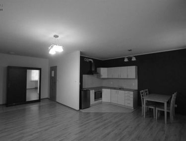 Zdjęcie 9172958
