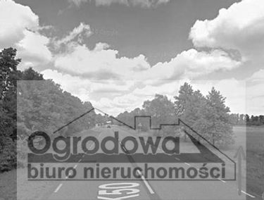 Zdjęcie 9503876