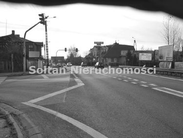 Zdjęcie 9677415