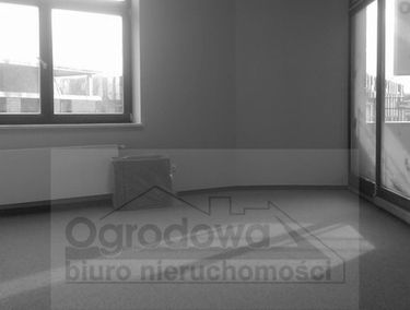 Zdjęcie 9850101
