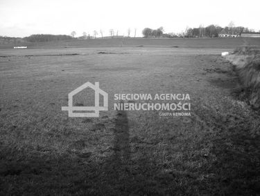 Zdjęcie 9864560