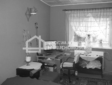 Zdjęcie 9864715