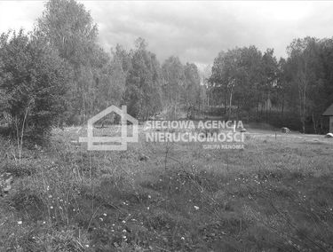 Zdjęcie 9864873