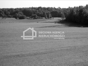 Zdjęcie 9864909