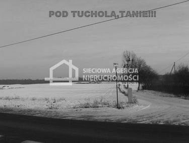 Zdjęcie 9864926