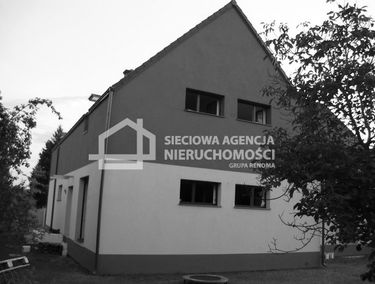 Zdjęcie 9864988