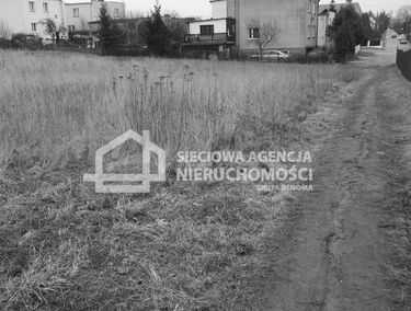 Zdjęcie 9865138