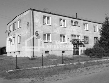 Zdjęcie 9865230