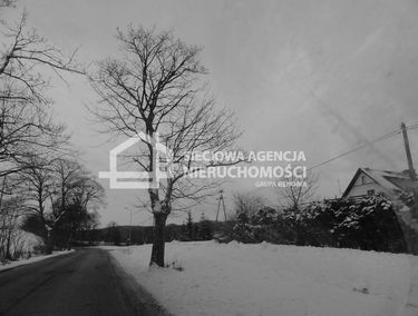 Zdjęcie 9865387