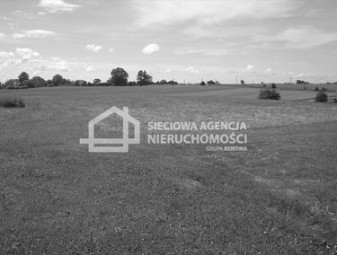 Zdjęcie 9865584