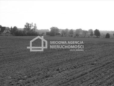 Zdjęcie 9865617
