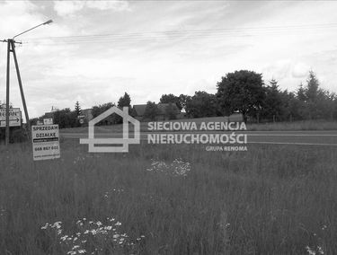 Zdjęcie 9865763