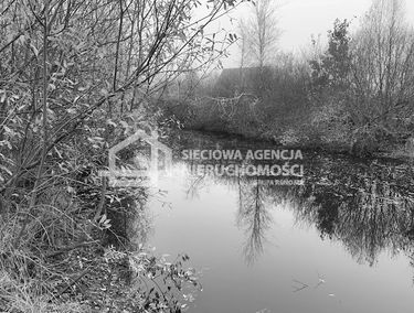Zdjęcie 9866058