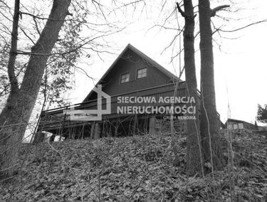 Zdjęcie 9866138