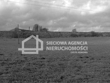 Zdjęcie 9866284