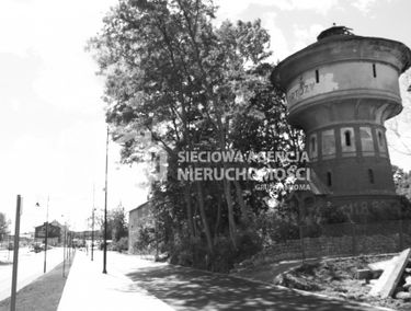 Zdjęcie 9866439