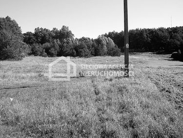 Zdjęcie 9866735