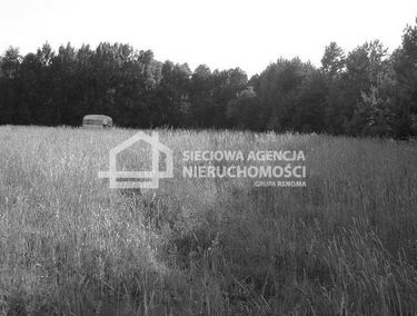 Zdjęcie 9875977