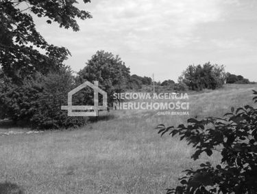 Zdjęcie 9876211