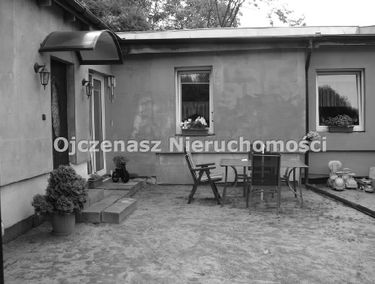 Zdjęcie 9880623