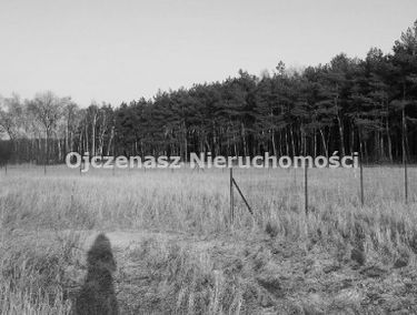 Zdjęcie 9880751