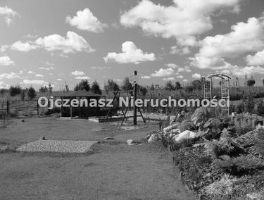 Zdjęcie 9880783