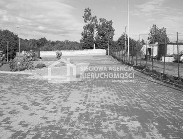 Zdjęcie 9896764