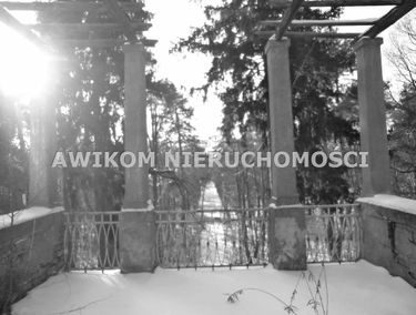Zdjęcie 9914676