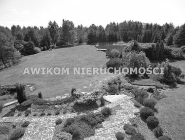 Zdjęcie 9917406