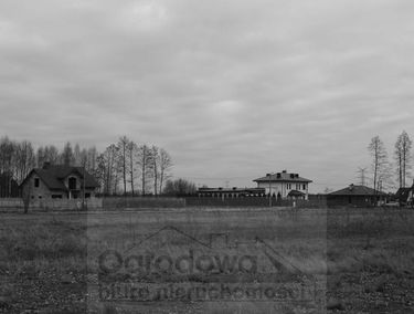Zdjęcie 9936829