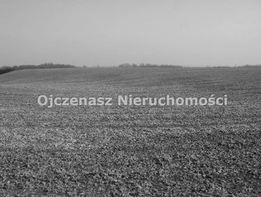 Zdjęcie 9957534