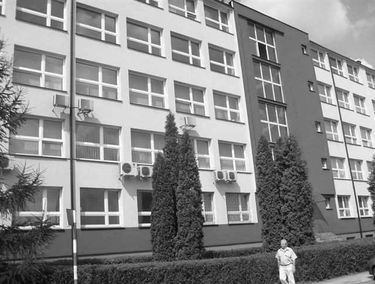 Zdjęcie 9987457