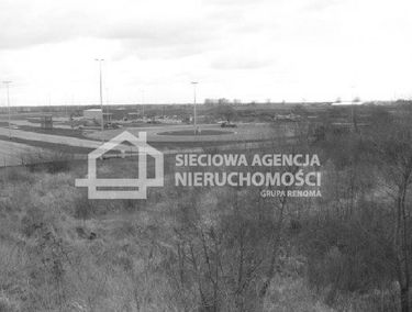 Zdjęcie 10004471