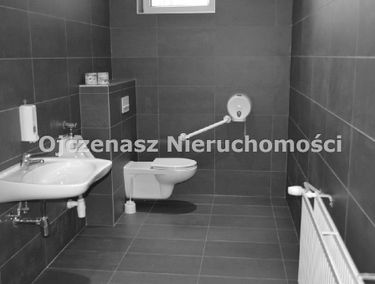 Zdjęcie 10011169