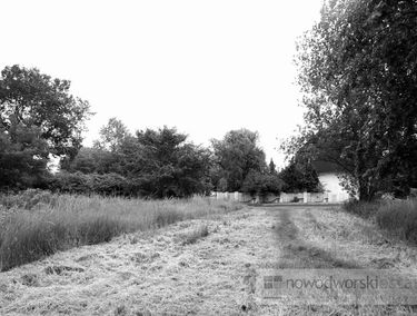 Zdjęcie 10034815