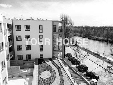 Zdjęcie 10054174