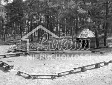 Zdjęcie 10071972