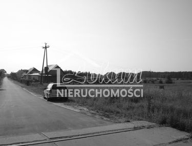 Zdjęcie 10072072