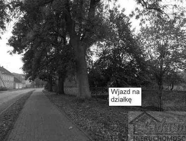 Zdjęcie 10072194