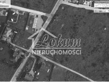 Zdjęcie 10072426