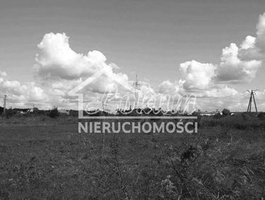 Zdjęcie 10072446