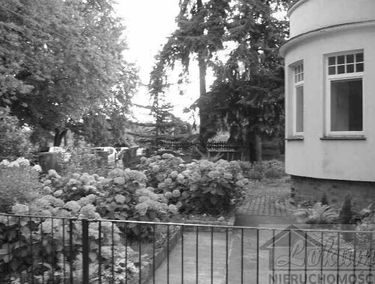 Zdjęcie 10072997