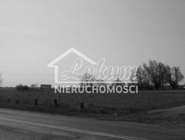 Zdjęcie 10073254